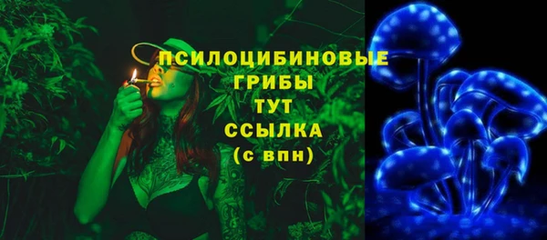 прущая мука Абаза