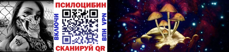 Галлюциногенные грибы Psilocybe Дмитровск